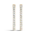 Glare Crescent Hoops