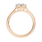 Meridian Round Solitaire