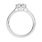 Meridian Round Solitaire