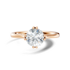 Meridian Round Solitaire