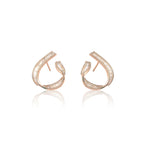Gleam & Glam Earring