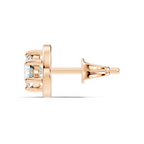 Horizon Meridian Studs