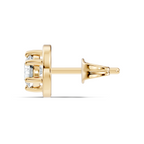Horizon Meridian Studs