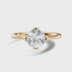 Meridian Round Solitaire